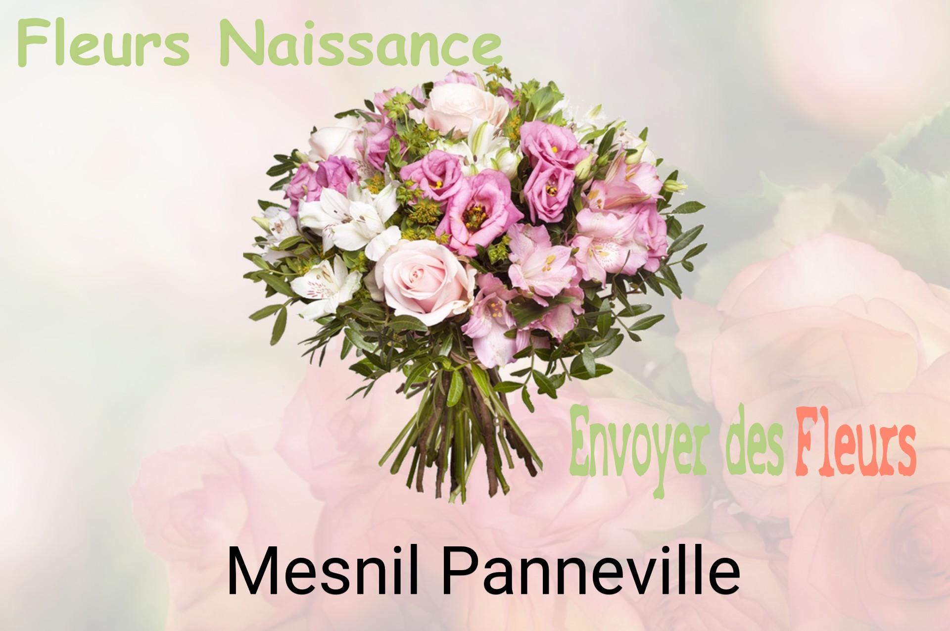 Bouquet de fleurs de naissance livré à Mesnil-Panneville